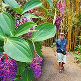 Garden of Eden Arboretum; panorama