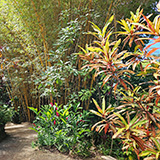 Garden of Eden Arboretum; panorama
