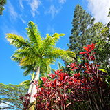Garden of Eden Arboretum; panorama