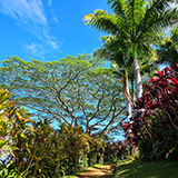 Garden of Eden Arboretum; panorama