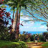 Garden of Eden Arboretum; panorama