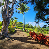 Garden of Eden Arboretum; panorama