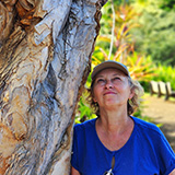 Garden of Eden Arboretum; panorama