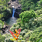 Garden of Eden Arboretum; panorama