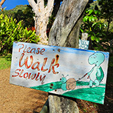 Garden of Eden Arboretum; panorama
