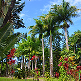 Garden of Eden Arboretum; panorama
