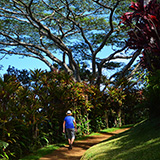 Garden of Eden Arboretum; panorama