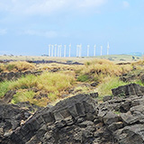 Big Island, South Point Hawaii