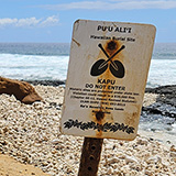 Big Island, South Point Hawaii