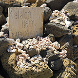 Big Island, South Point Hawaii