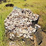 Big Island, South Point Hawaii