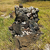 Big Island, South Point Hawaii