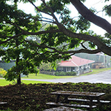 Hawaje, Big Island, Greenwell Farms