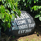 Hawaje, Big Island, Miranda's Farms Coffee Shop