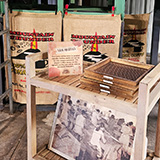Hawaje, Big Island, Mountain Thunder Coffee Plantation, kawa