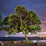 Big Island, Kailua-Kona