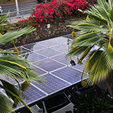 Big Island, Kailua-Kona