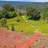 Big Island, Hawaii Volcanoes National  Park Kahuku Unit