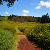 Big Island, Hawaii Volcanoes National  Park Kahuku Unit