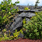 Hawaje, Big Island; Kalapana, Kehena,  Lauhalaland, MacKenzie