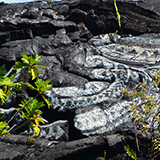 Hawaje, Big Island; Kalapana, Kehena,  Lauhalaland, MacKenzie
