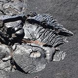 Hawaje, Big Island; Kalapana, Kehena,  Lauhalaland, MacKenzie
