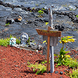 Hawaje, Big Island; Kalapana, Kehena,  Lauhalaland, MacKenzie