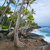 Hawaje, Big Island; Kalapana,  Kehena, Lauhalaland, MacKenzie