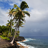 Hawaje, Big Island; Kalapana, Kehena,  Lauhalaland, MacKenzie