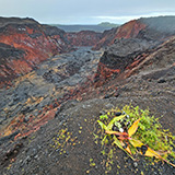 Hawaje, Big Island; Leilani Estates
