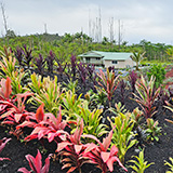 Hawaje, Big Island; Leilani Estates