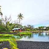 Hawaje, Big Island; Kalapana, Kehena,  Lauhalaland, MacKenzie