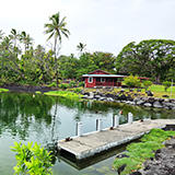 Hawaje, Big Island; Kalapana, Kehena,  Lauhalaland, MacKenzie
