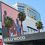 Los Angeles (Hawaje 2024); Hollywood