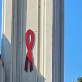 Los Angeles (Hawaje 2024); Hollywood