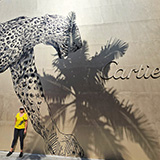 Los Angeles (Hawaje 2024); Rodeo Drive