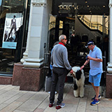 Los Angeles (Hawaje 2024); Rodeo Drive