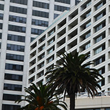 Los Angeles (Hawaje 2024); Santa Monica