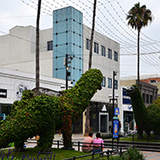Los Angeles (Hawaje 2024); Santa Monica
