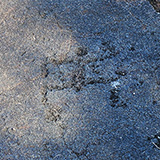 Hawaje; Kaloko-Honokōhau Petroglyph (Big Island)