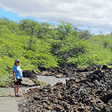 Hawaje; Kaloko-Honokōhau Petroglyph (Big Island)
