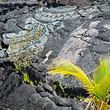 Hawaje; Kalapana, Kaimū (Big Island)