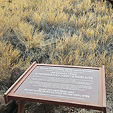 Hawaje; Olowalu Petroglyphs (Maui)