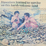 Hawaje; Puuloa Petroglyphs (Big Island, Hawaii Volcanoes National Park, Kahaualeʻa Natural Area Reserve)