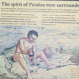 Hawaje; Puuloa Petroglyphs (Big Island, Hawaii Volcanoes National Park, Kahaualeʻa Natural Area Reserve)