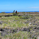 Hawaje; Puuloa Petroglyphs (Big Island, Hawaii Volcanoes National Park, Kahaualeʻa Natural Area Reserve)