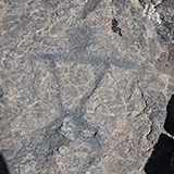 Hawaje; Puuloa Petroglyphs (Big Island, Hawaii Volcanoes National Park, Kahaualeʻa Natural Area Reserve)