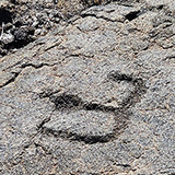 Hawaje; Puuloa Petroglyphs (Big Island, Hawaii Volcanoes National Park, Kahaualeʻa Natural Area Reserve)