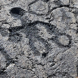 Hawaje; Puuloa Petroglyphs (Big Island, Hawaii Volcanoes National Park, Kahaualeʻa Natural Area Reserve)