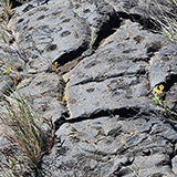 Hawaje; Puuloa Petroglyphs (Big Island, Hawaii Volcanoes National Park, Kahaualeʻa Natural Area Reserve)